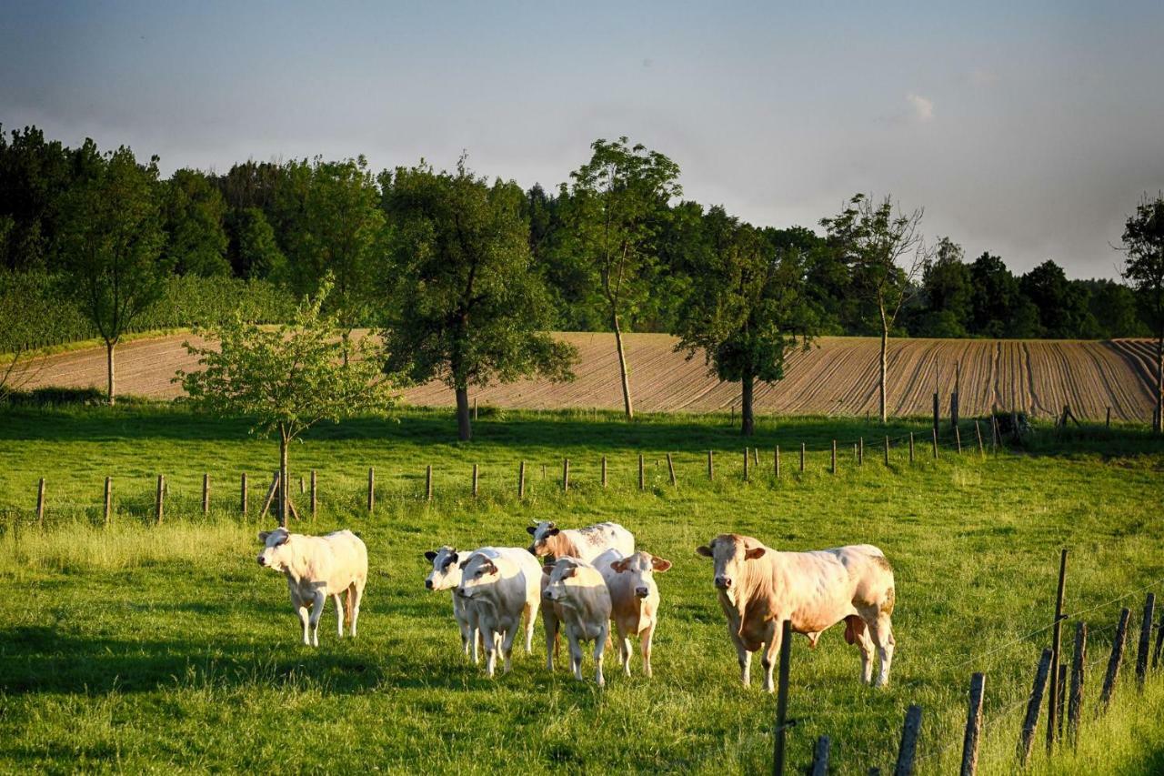 B&B De Bloesem Hoeselt ภายนอก รูปภาพ